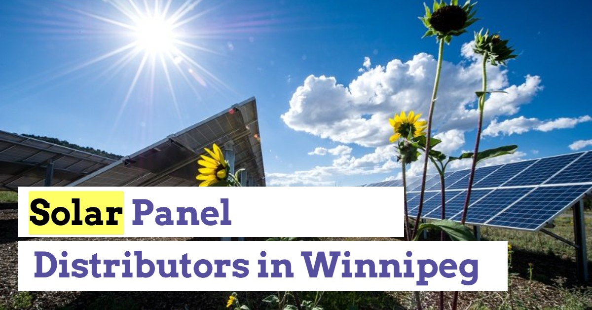 6 Top Rated Solar Panel Distributors in Winnipeg