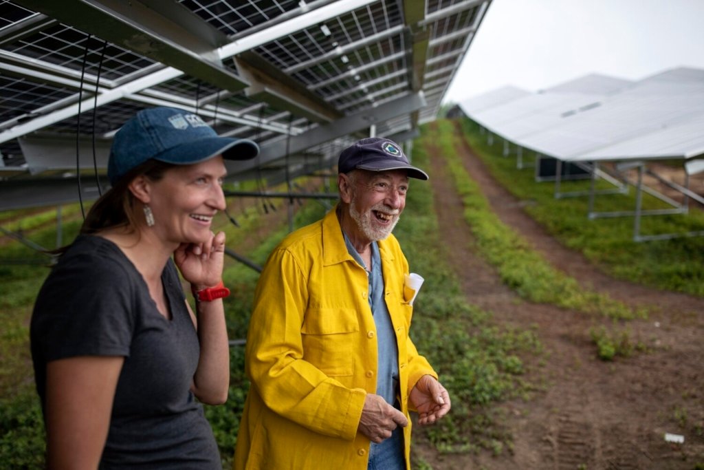 Auf der Farm Rockport suchen Blaubeerzüchter und Solarenergieentwickler nach Gemeinsamkeiten - Press Herald